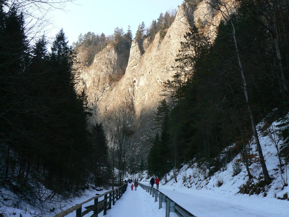 Rekreacna Usadlost Pieninka Lesnica Bagian luar foto