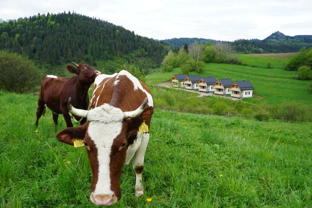 Rekreacna Usadlost Pieninka Lesnica Bagian luar foto