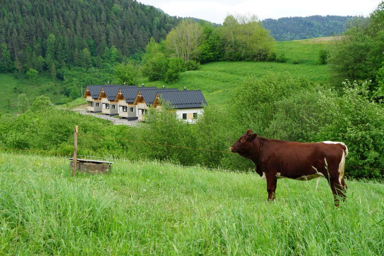 Rekreacna Usadlost Pieninka Lesnica Bagian luar foto