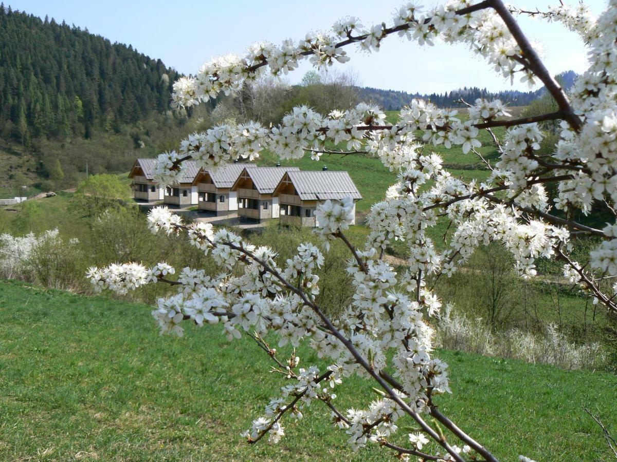 Rekreacna Usadlost Pieninka Lesnica Bagian luar foto